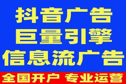 竞价托管服务案例解析