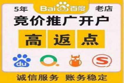 百度竞价广告投放的ROI优化：经典案例分享